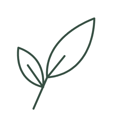 Simple line drawing of two leaves on a stem.