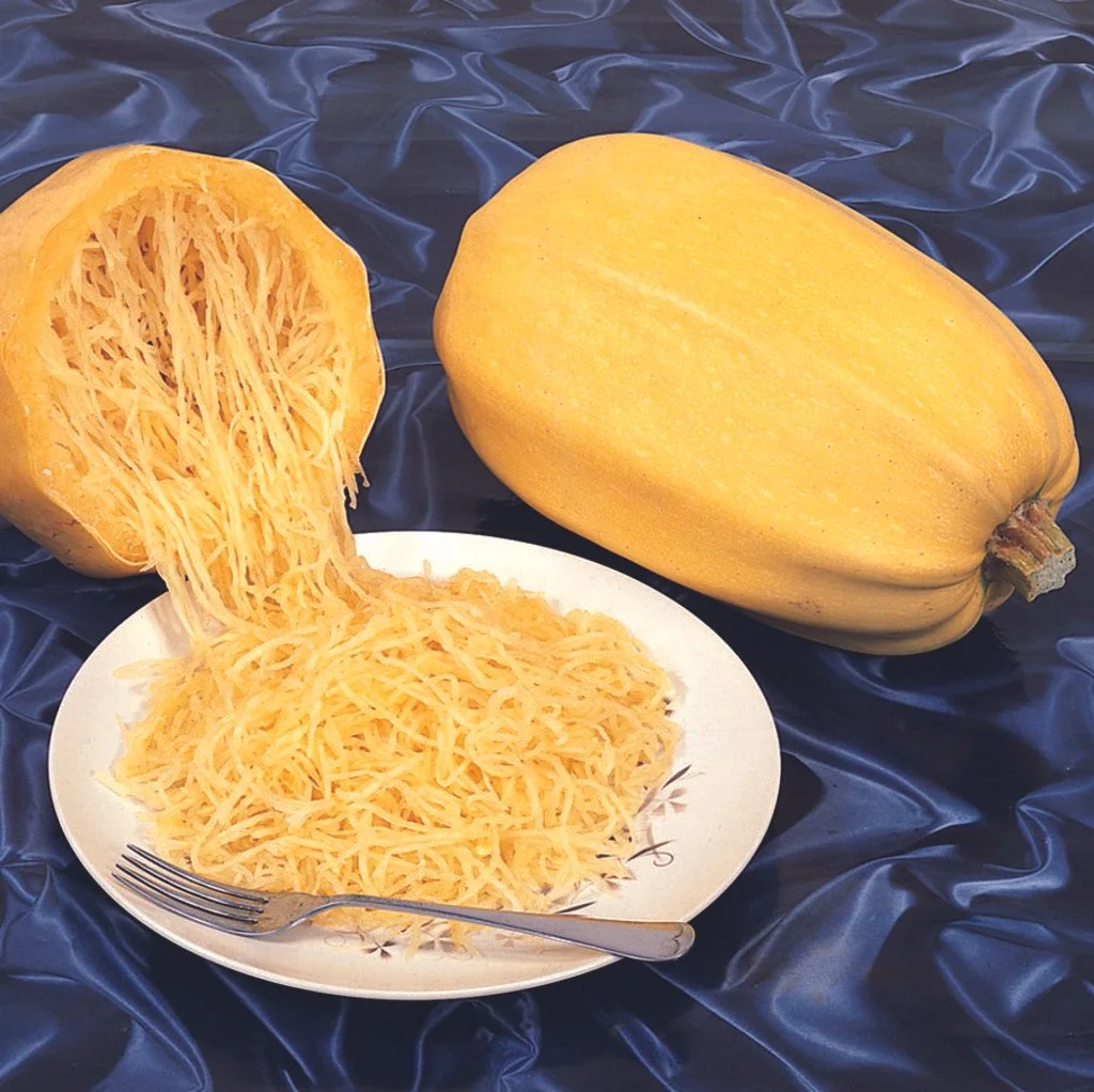 spaghetti végétale