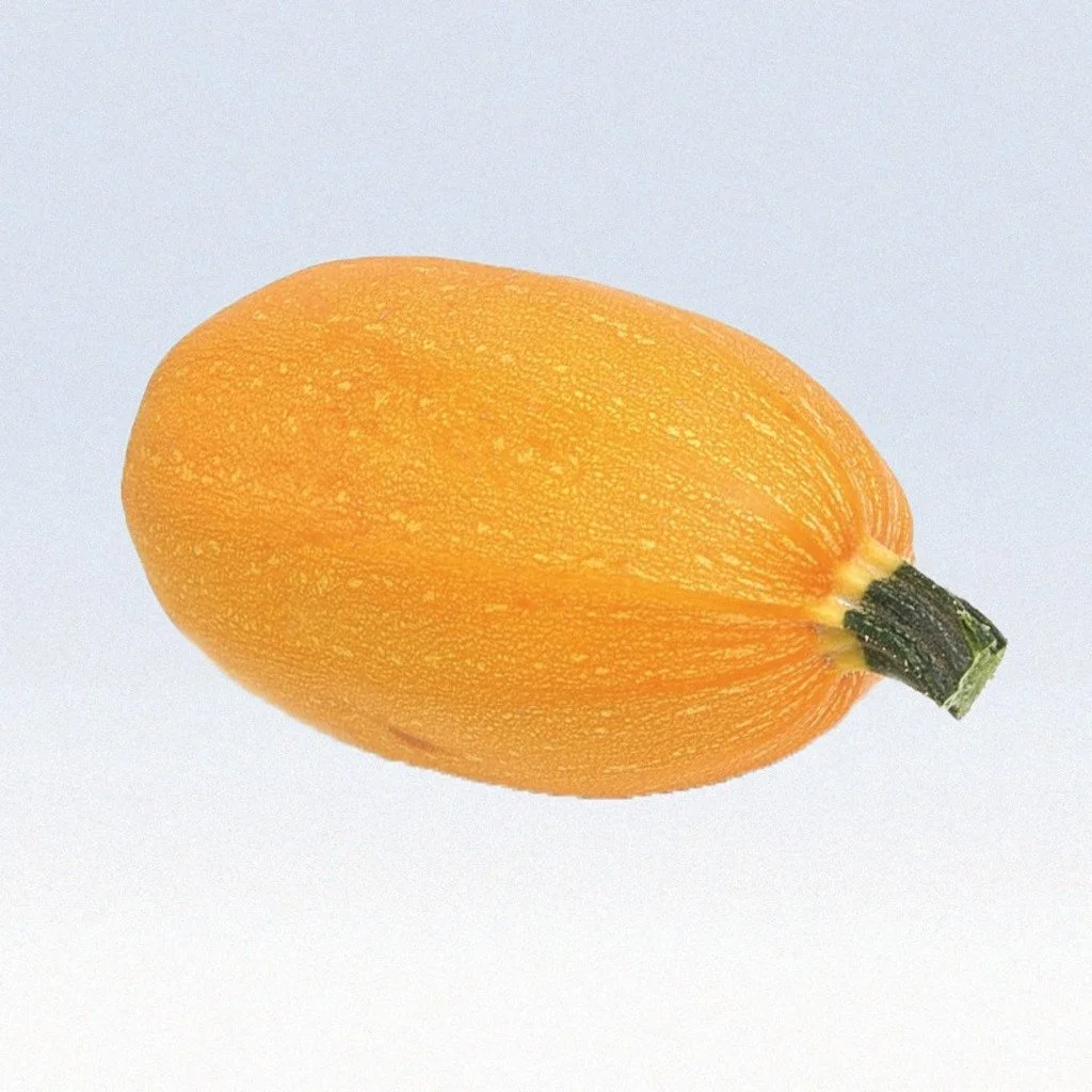 orangetti spaghetti