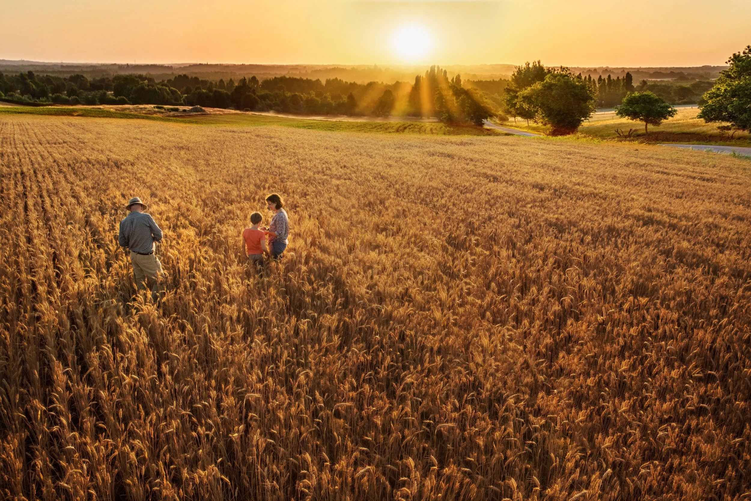 A family of farmers standing in a golden corn field