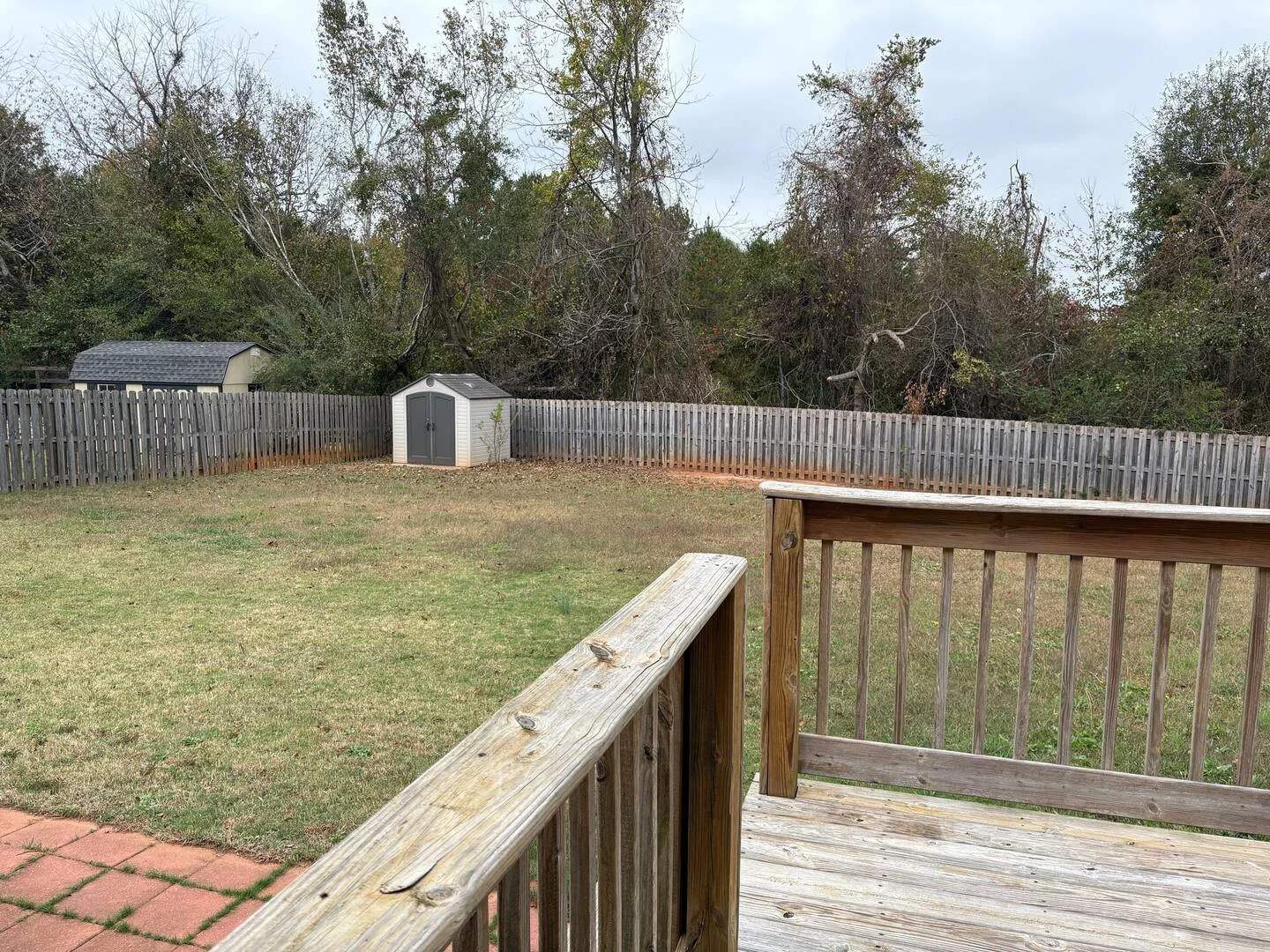 Backyard with a grassy yard, wooden deck, gray shed, and wooden fence with trees in the background.