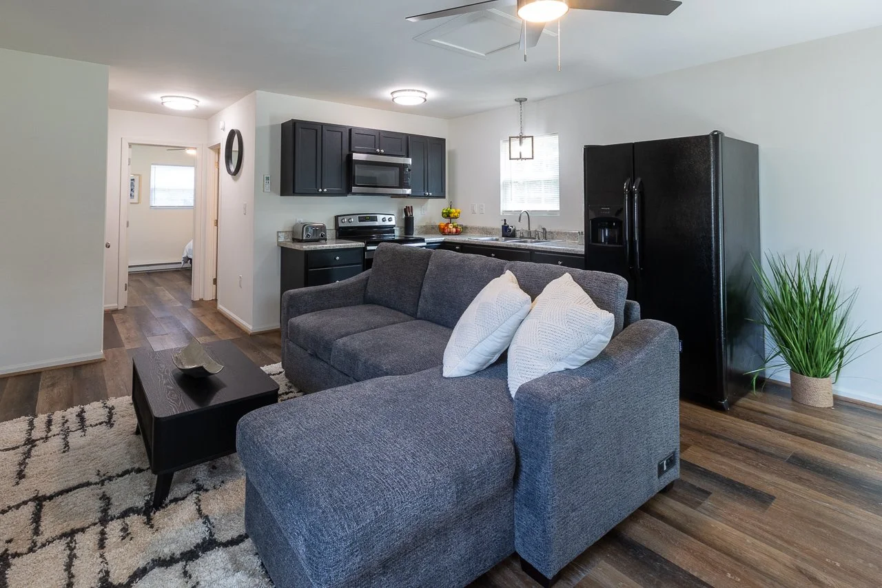 Living room with a gray sofa, white pillows, a black coffee table, and an open kitchen with black cabinets, a black refrigerator, a microwave, and a stove. There is a ceiling fan and a window with blinds, and a green plant in a pot on the floor.