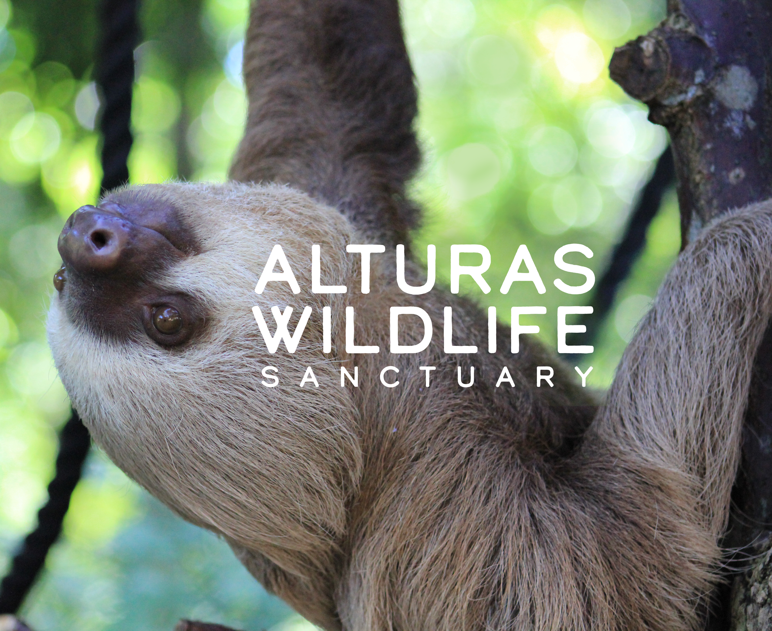 Alturas Wildlife Sanctuary
