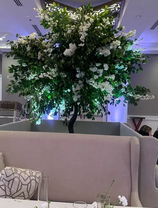 Branching Out tree premier wed march 2024.JPG