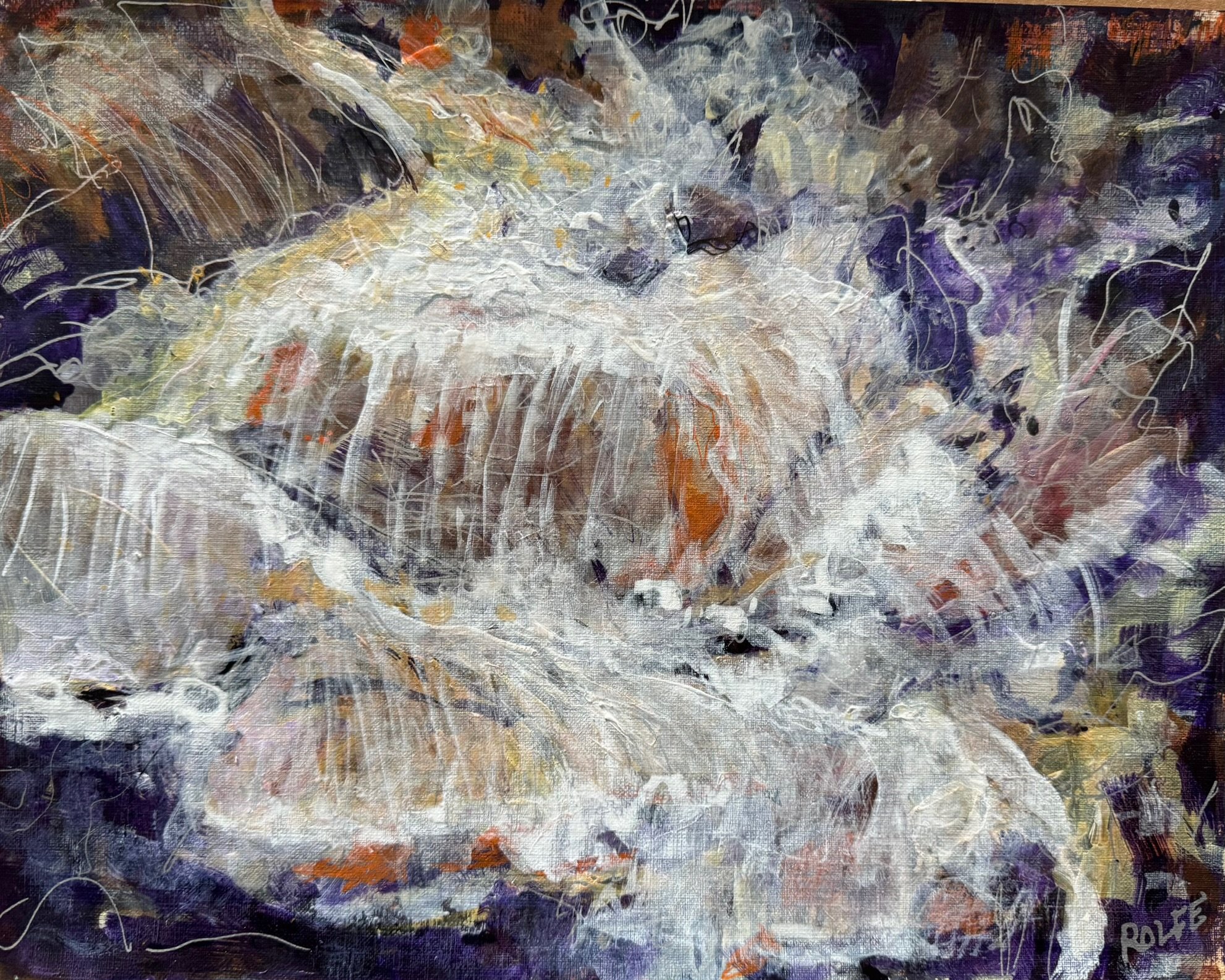 H0034 Wild Stream IMG_0569.jpg