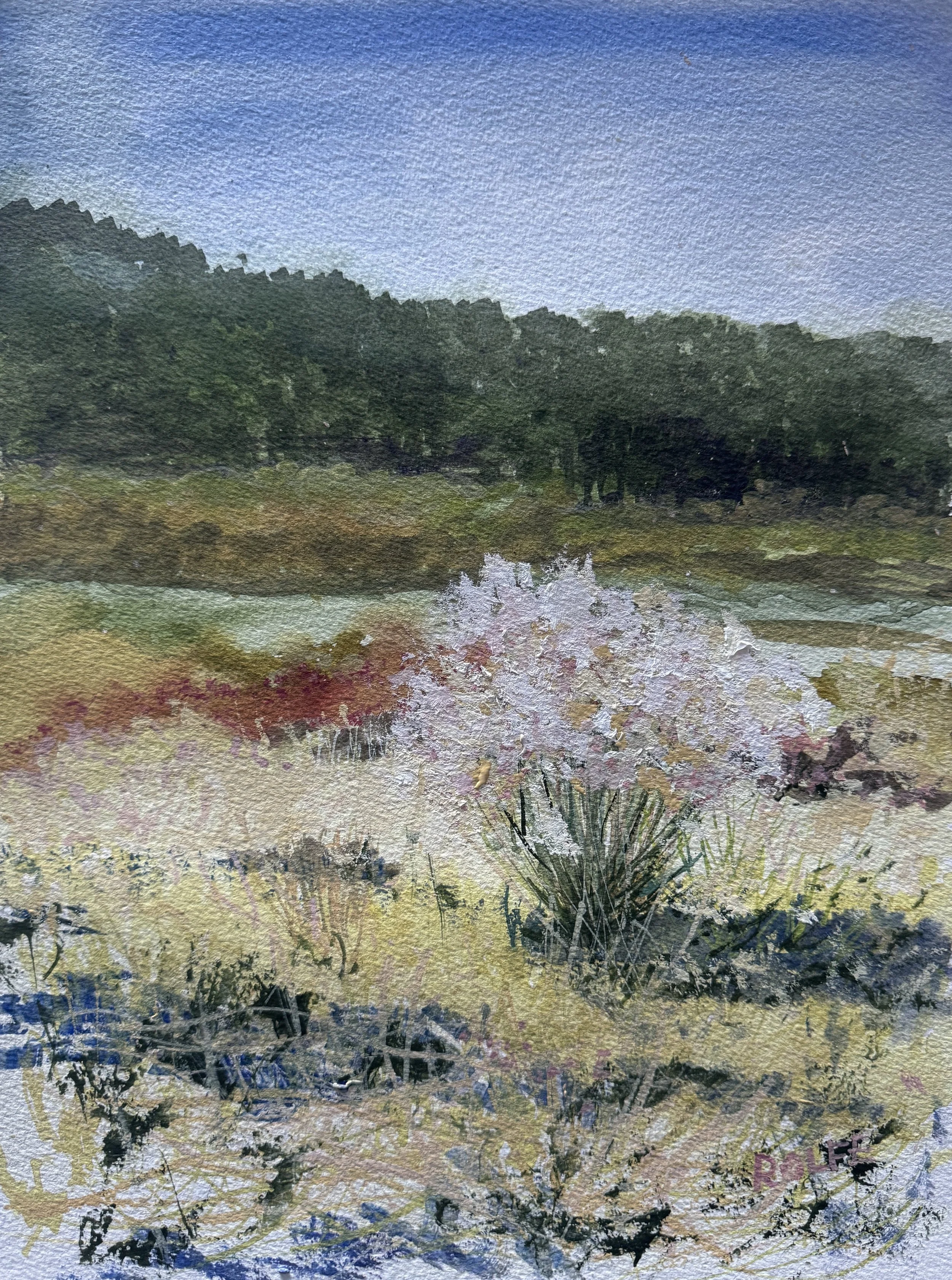 Wetlands in Stow Acres