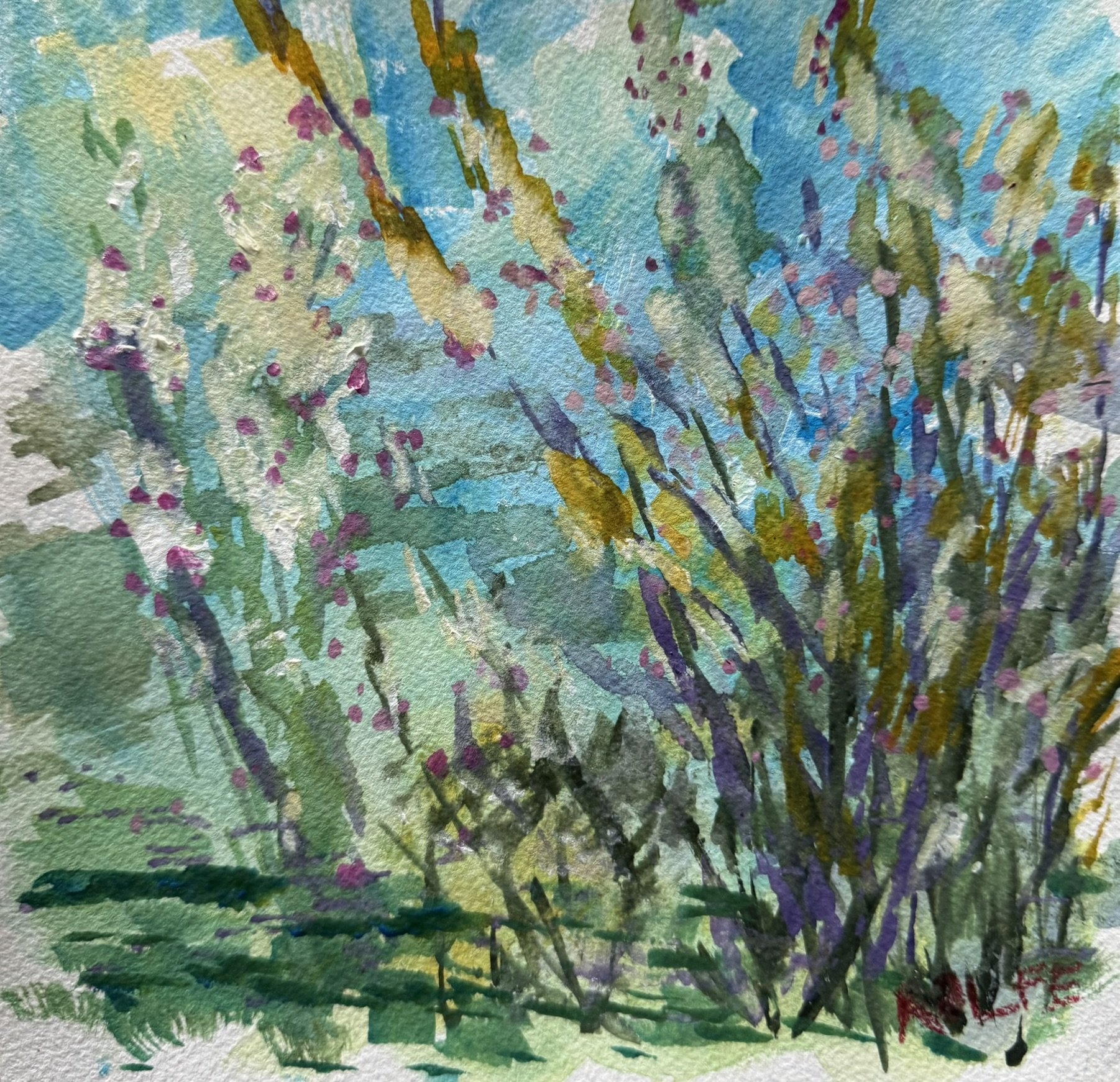 H0321 Grasses 1V IMG_0804.JPEG