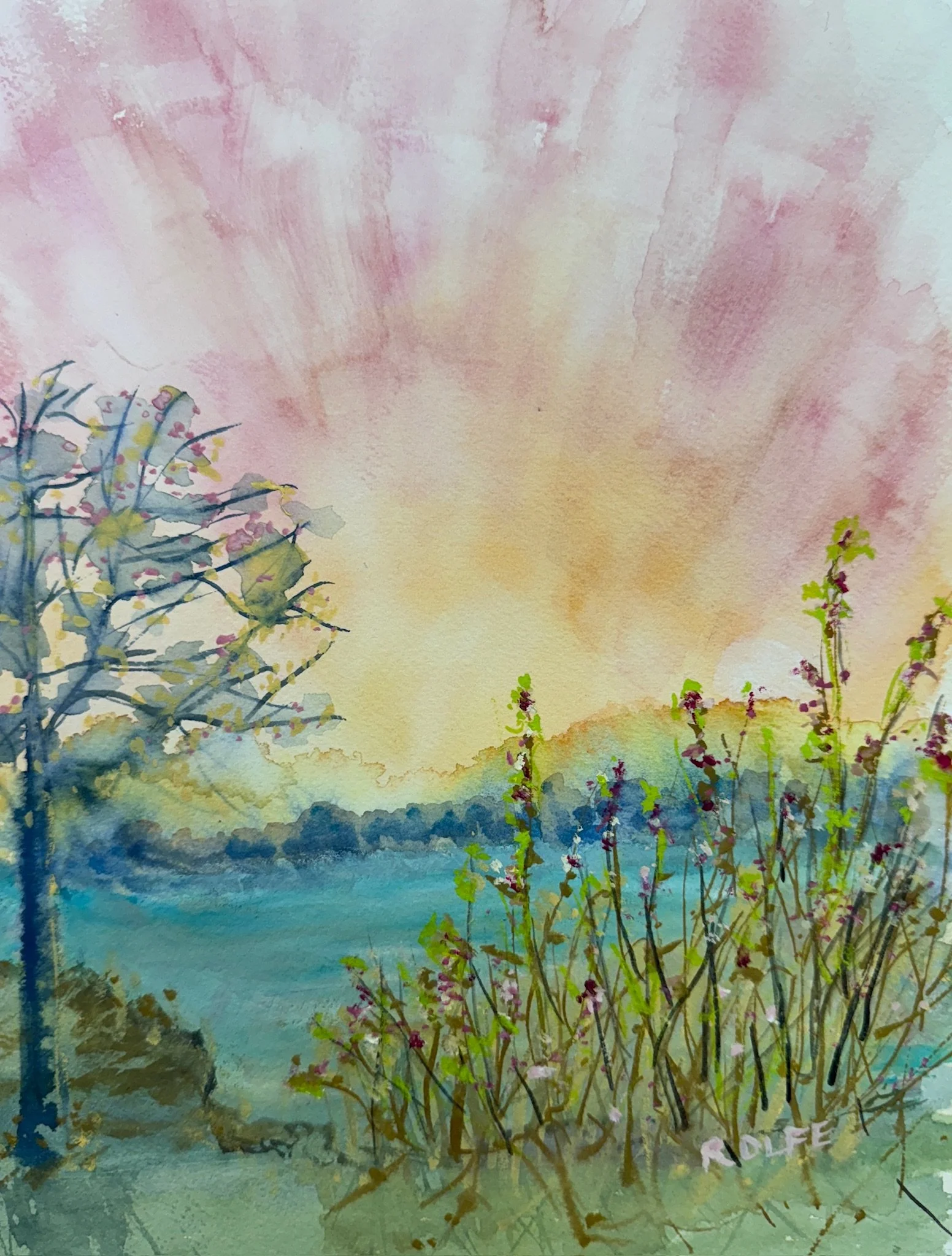 H0306 A Lone Tree IMG_0374.jpg