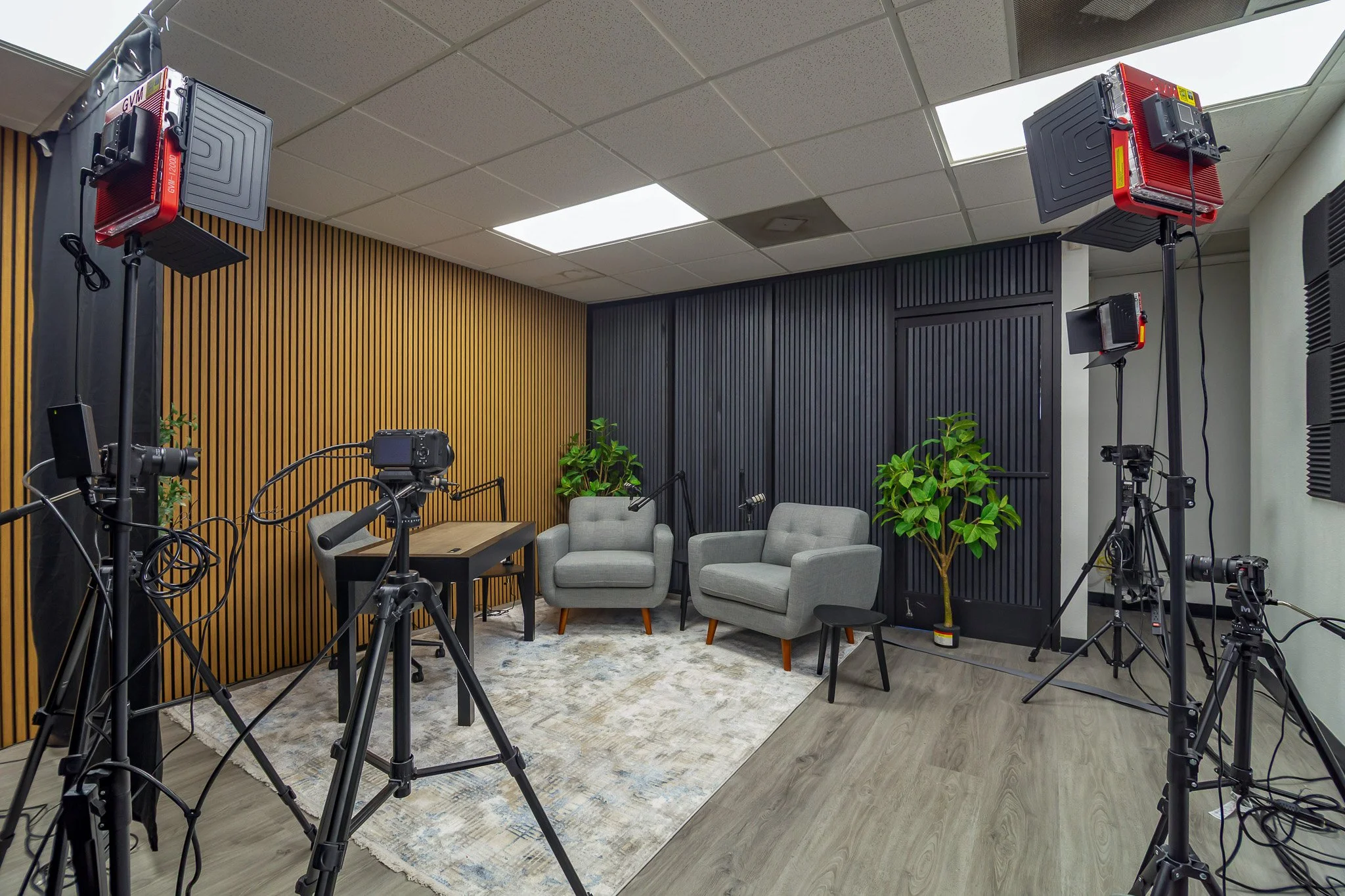A professional audio and video recording setup. The room features wooden and black acoustic slat wall panels, a large rug, and ceiling fluorescent lights.
