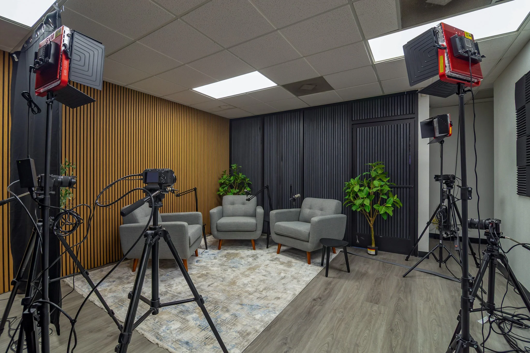 A professional audio and video recording setup. The room features wooden and black acoustic slat wall panels, a large rug, and ceiling fluorescent lights.