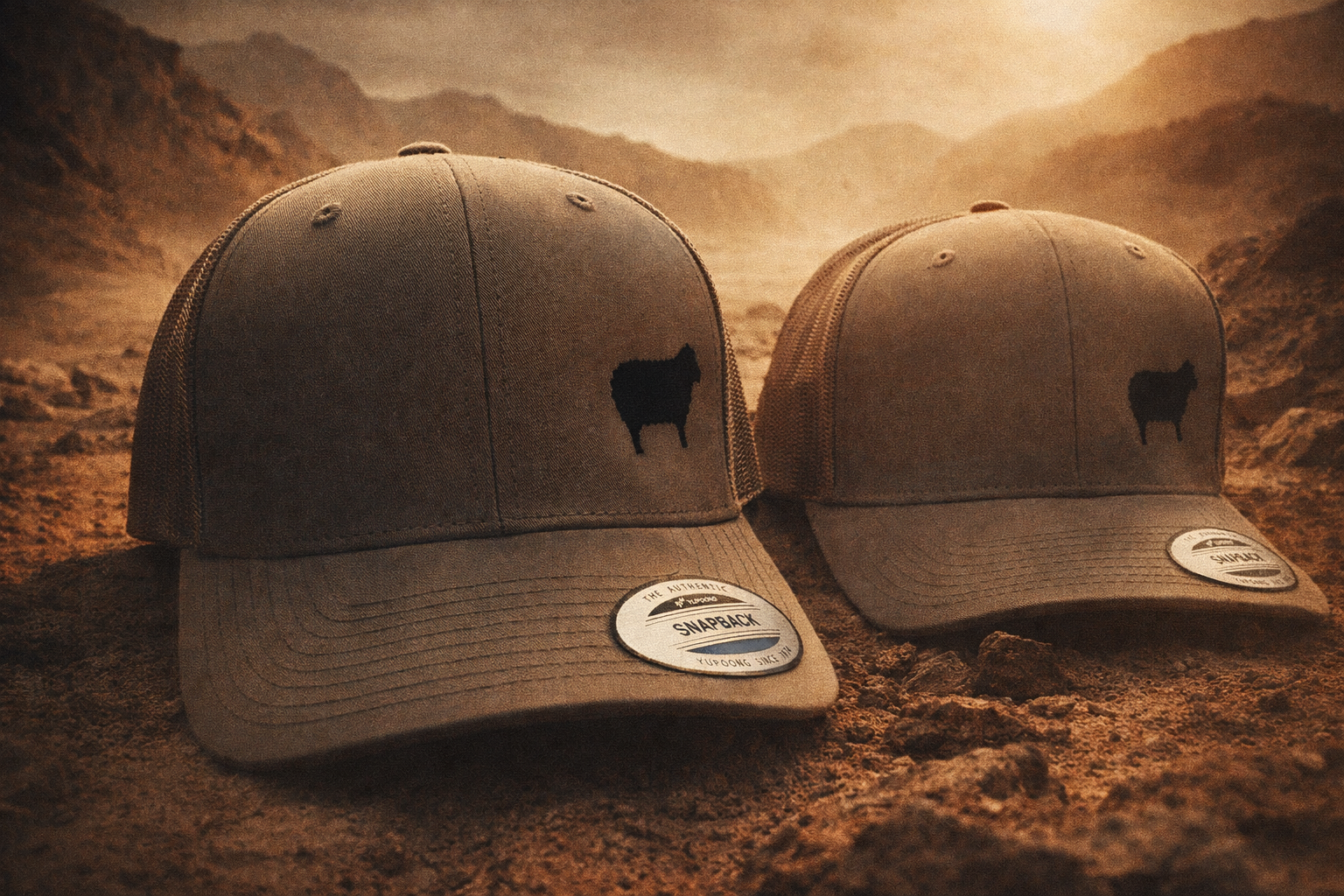 ChatGPT Image Feb 26, 2026, 09_26_16 AM.png