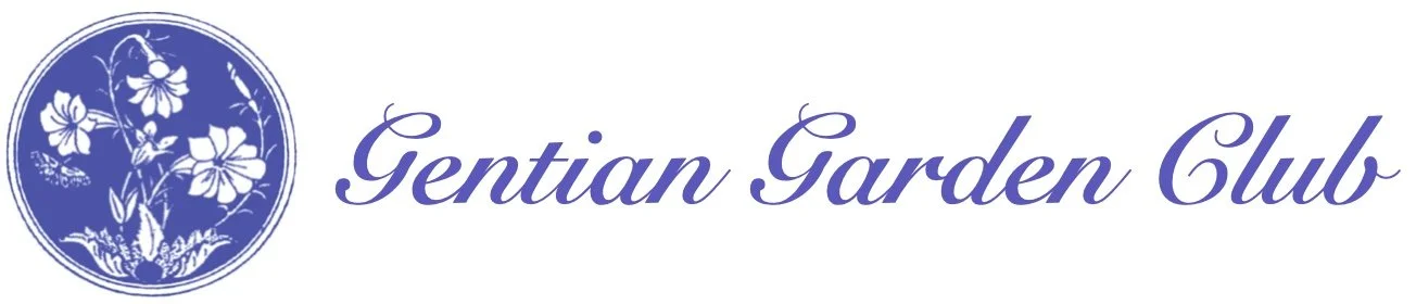 Gentian Garden Club