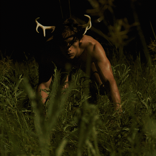The Rut