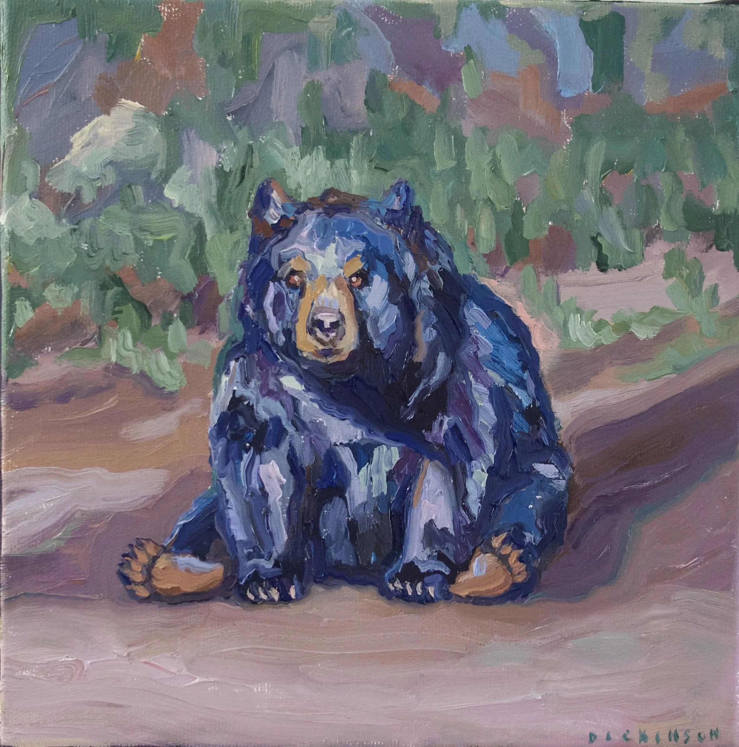 Bear Study
