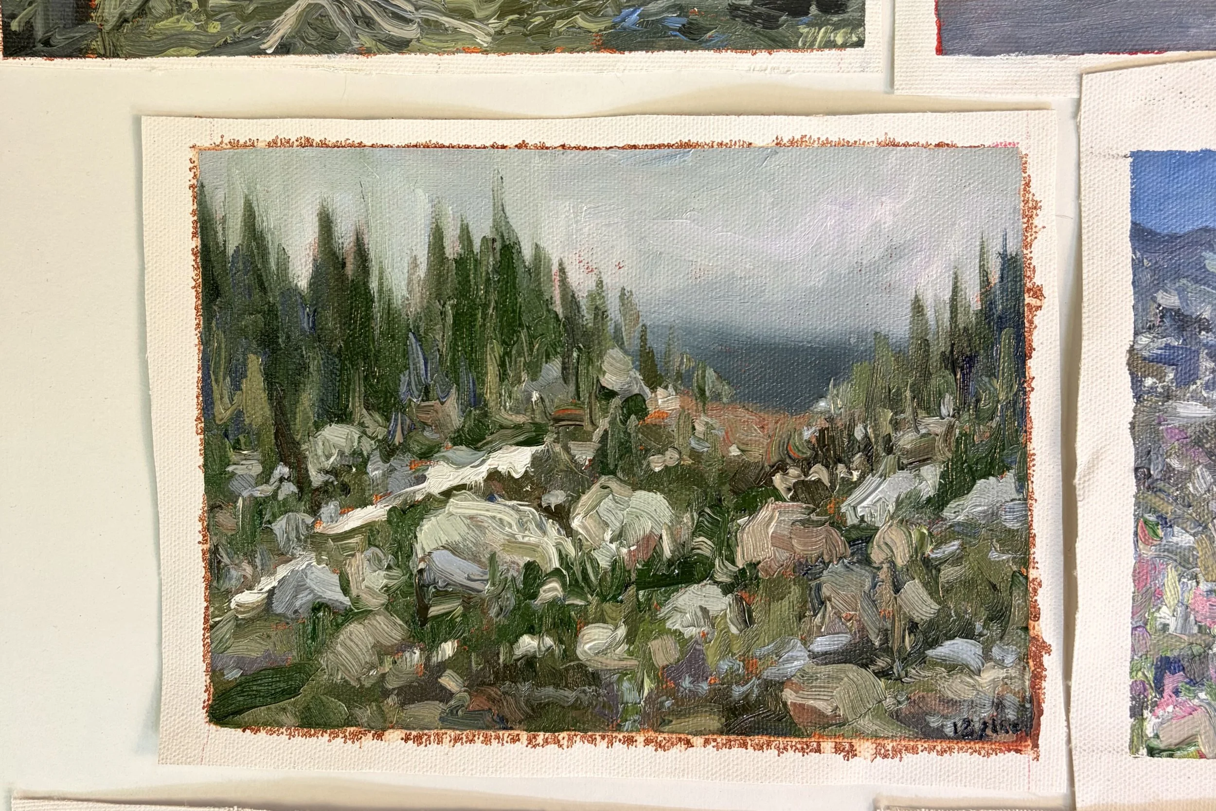 Day 13/100 - Rained out on Whistler Mountain