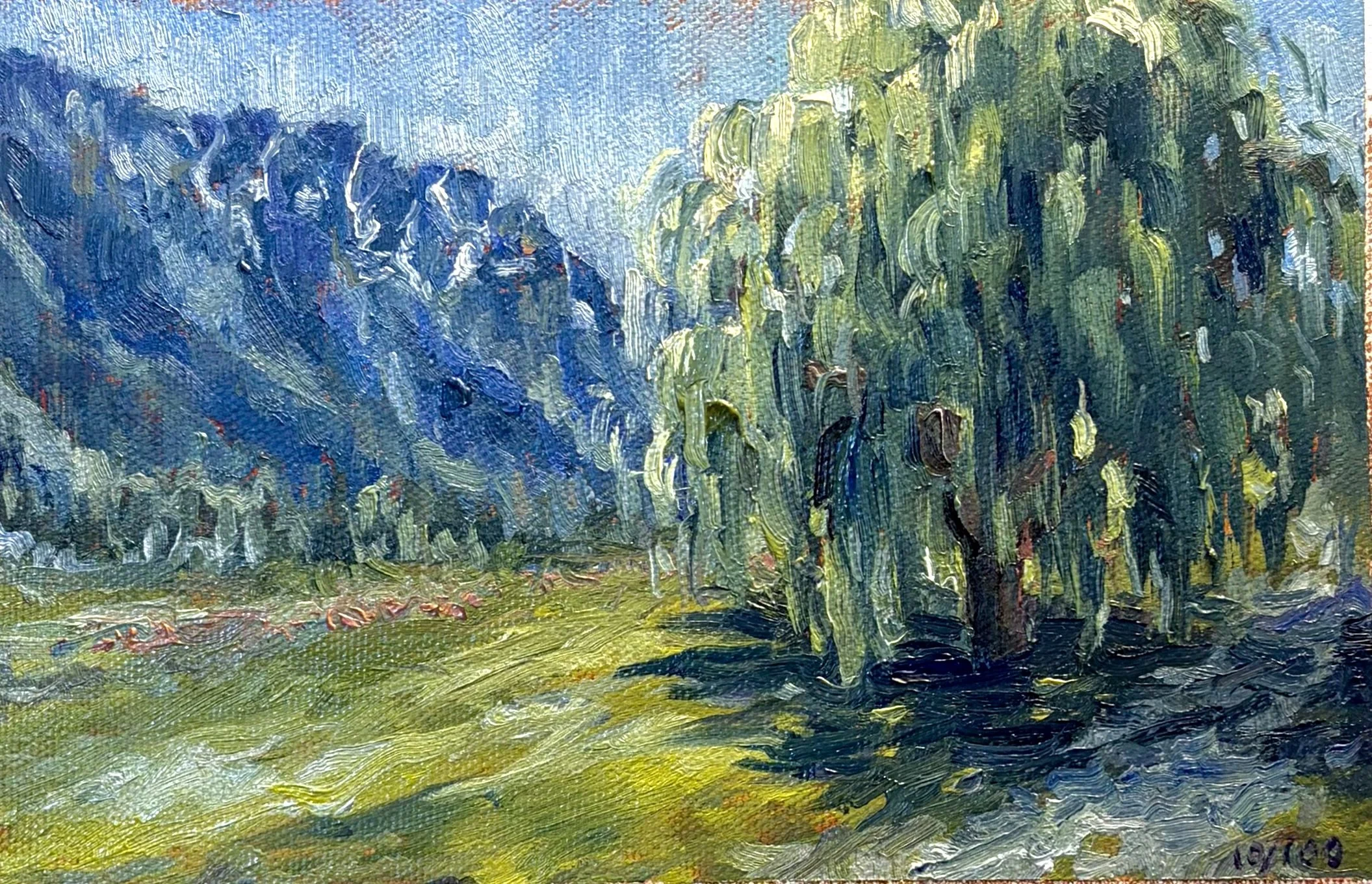 Day 10/100 - Mt Currie & Her Weeping Willow