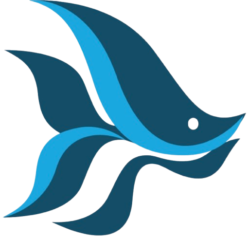 Blue Ocean Finacial SAS