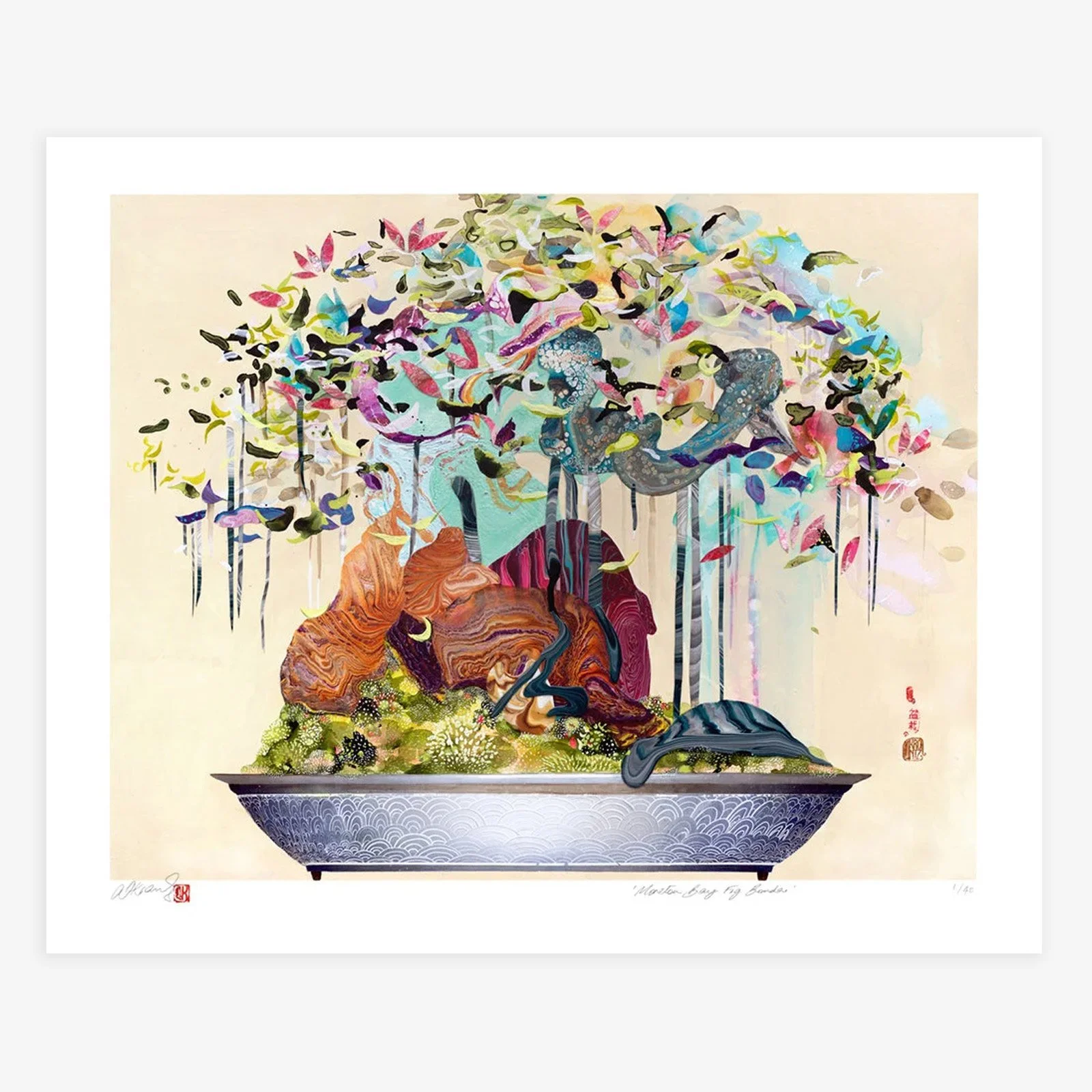 Art Print of moreton bay fig tree bonsai