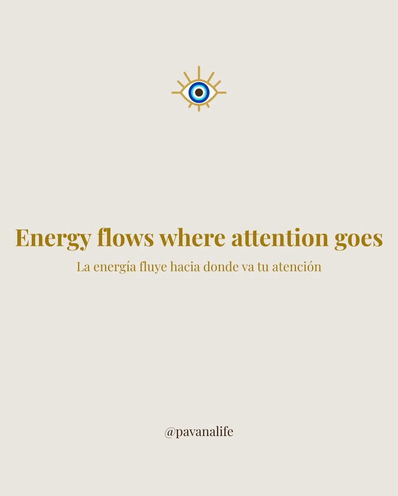 What you give attention to grows. 🌸 Every choice you make today is planting the seeds of your future&mdash;what are you focusing on?

 ES: En lo que pones atenci&oacute;n crece. 🌸 Cada decisi&oacute;n de hoy est&aacute; sembrando las semillas de tu