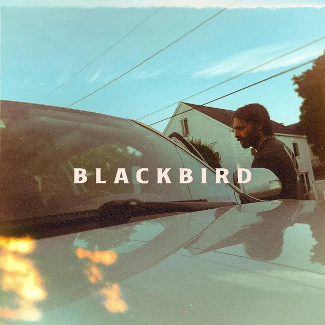 King Kyote - Blackbird
