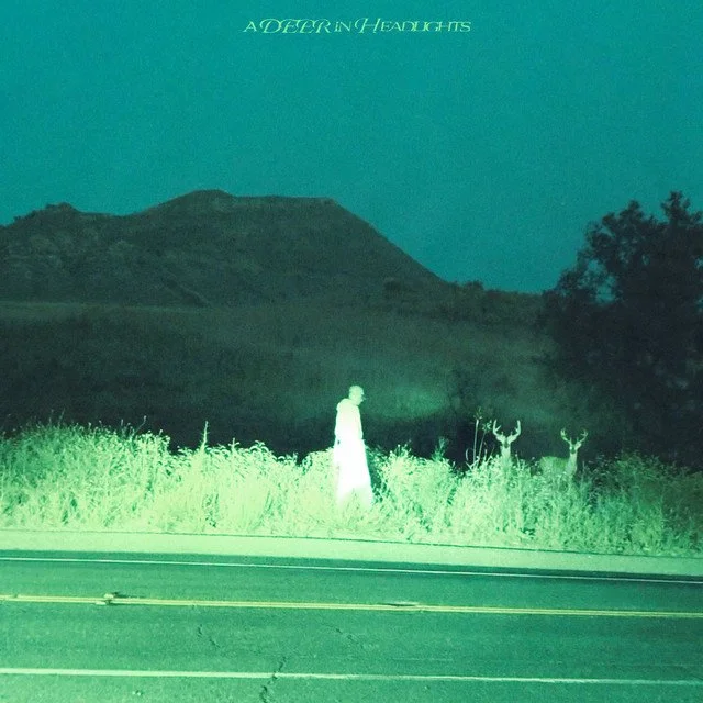 Harry Hudson - A Deer in Headlights
