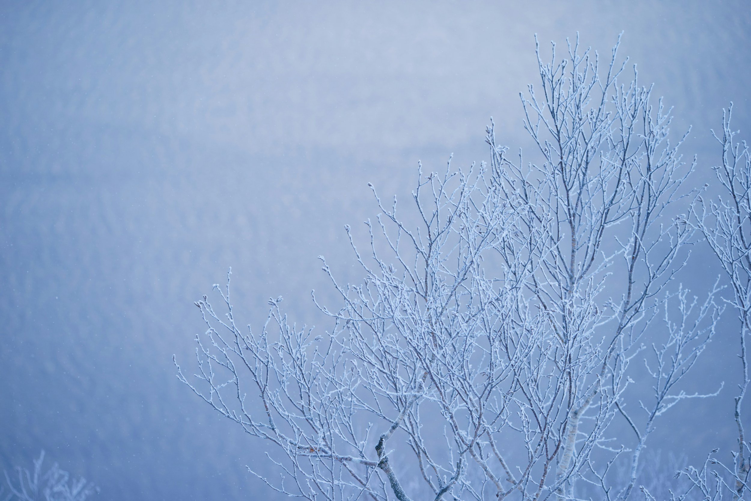 Navigating Winter Blues: Insights from an Okanagan Therapist's Perspective