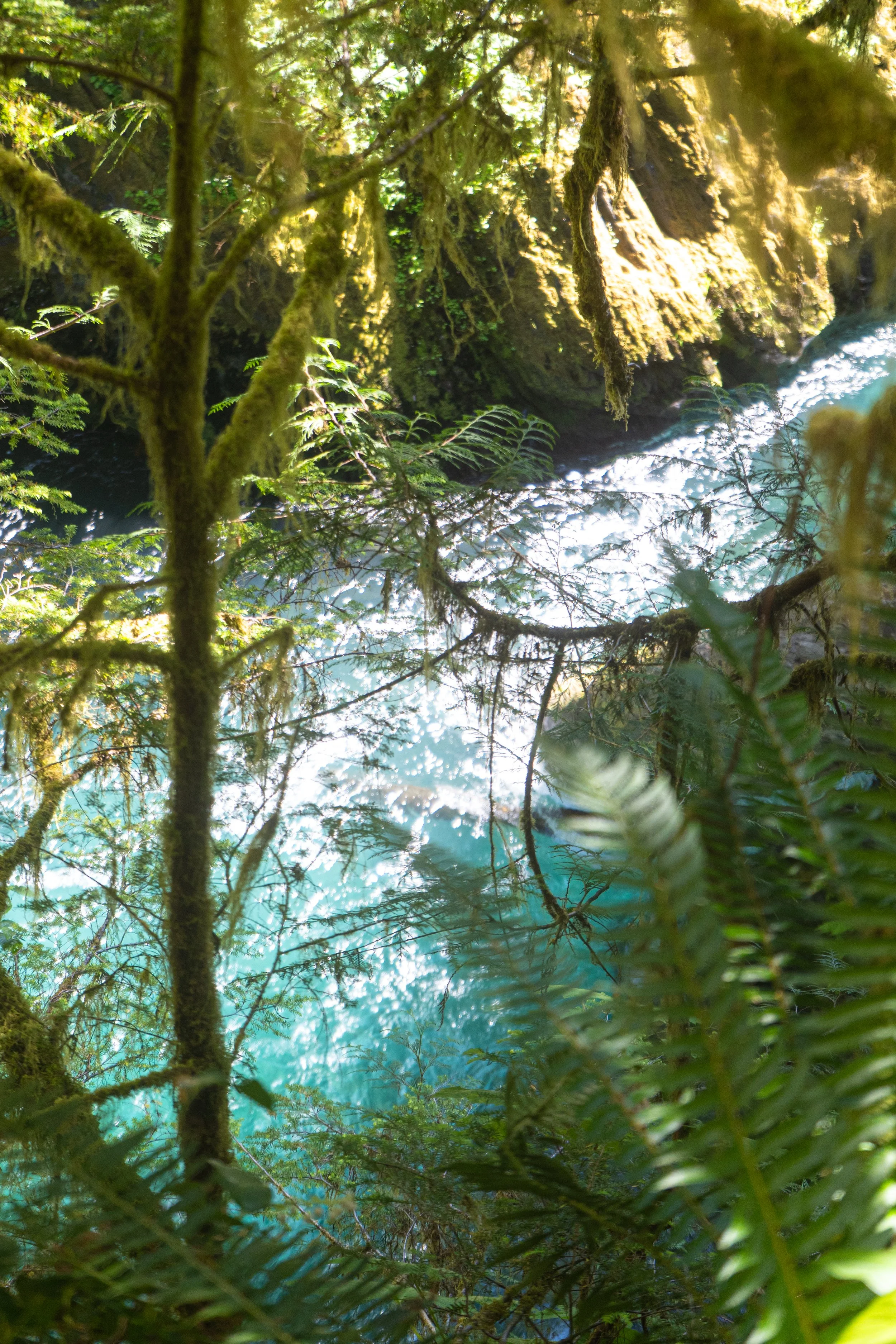 Enchanted Valley-1.jpg