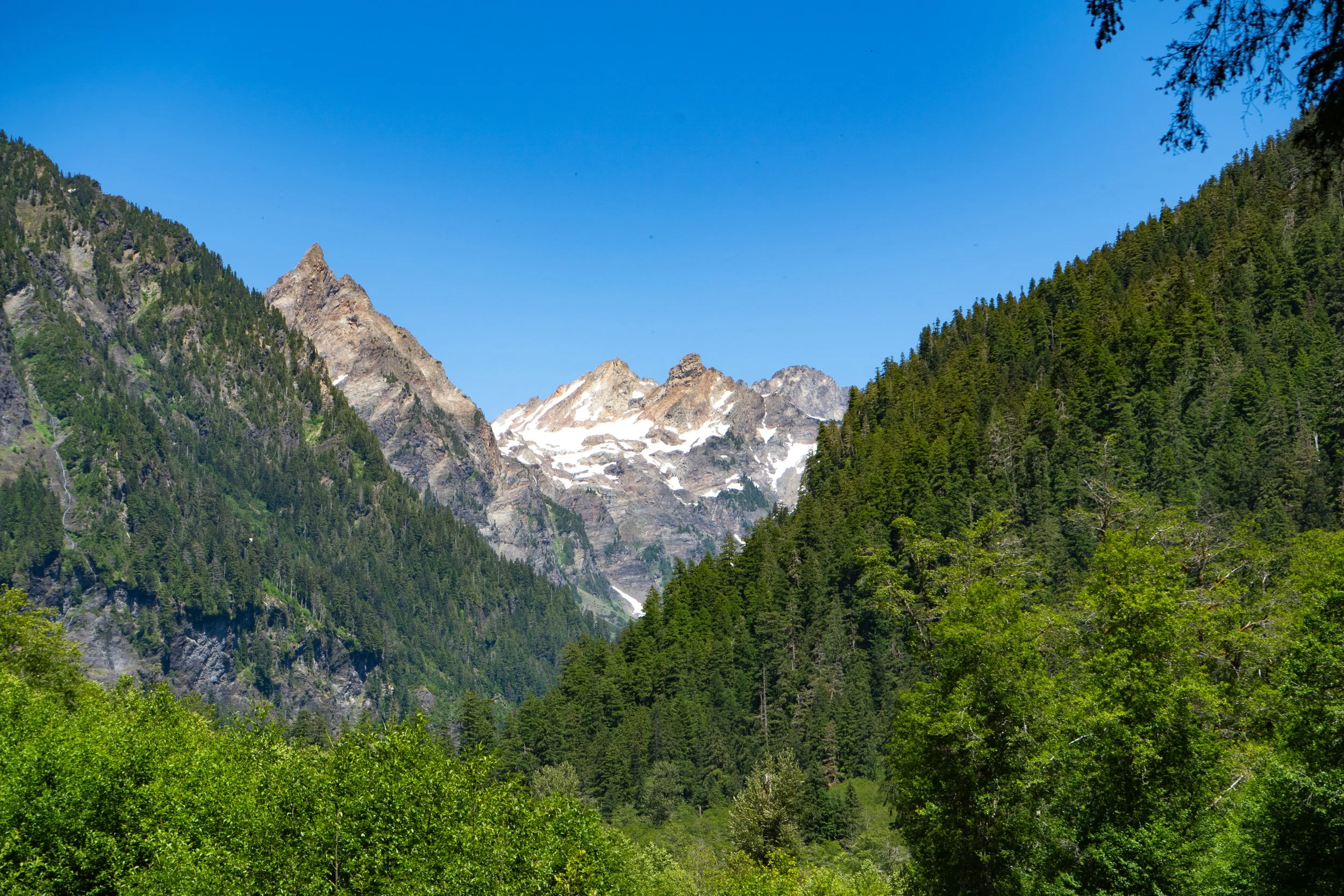 Enchanted Valley-7.jpg