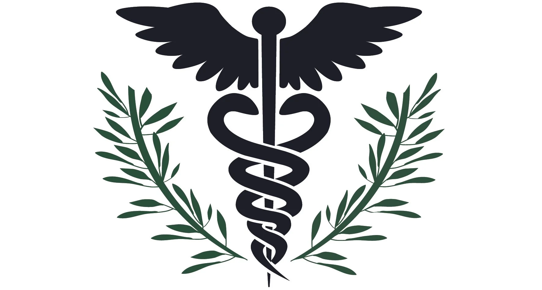 Defending VA Veterans Health Care on D-Day