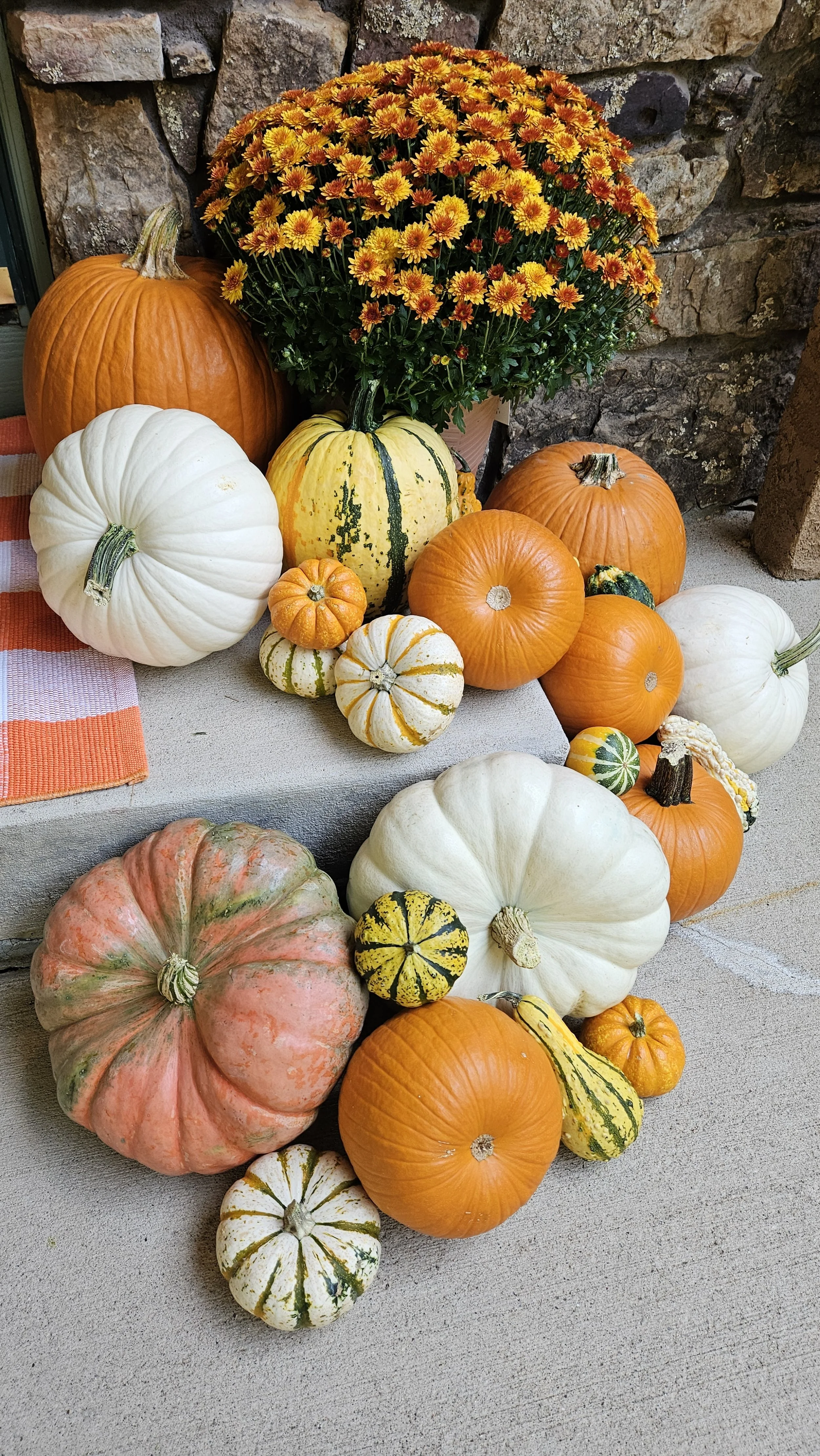 Up close Pumpkins by door.jpg