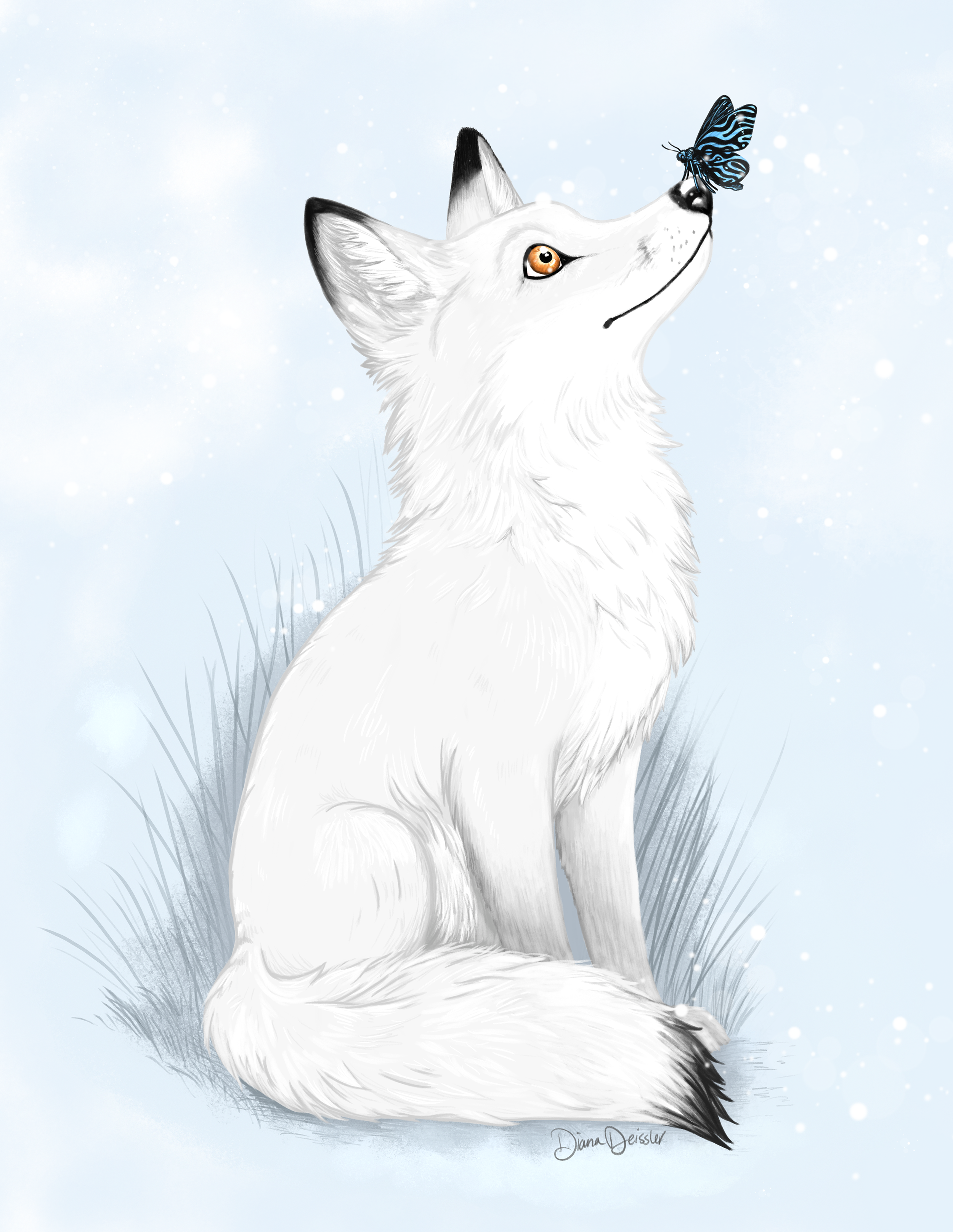 Snow_fox.png