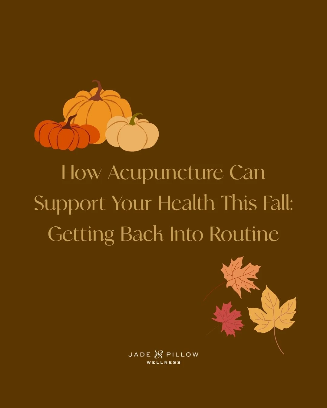 How Acupuncture Can Support Your Health This Fall: Getting Back Into Routine