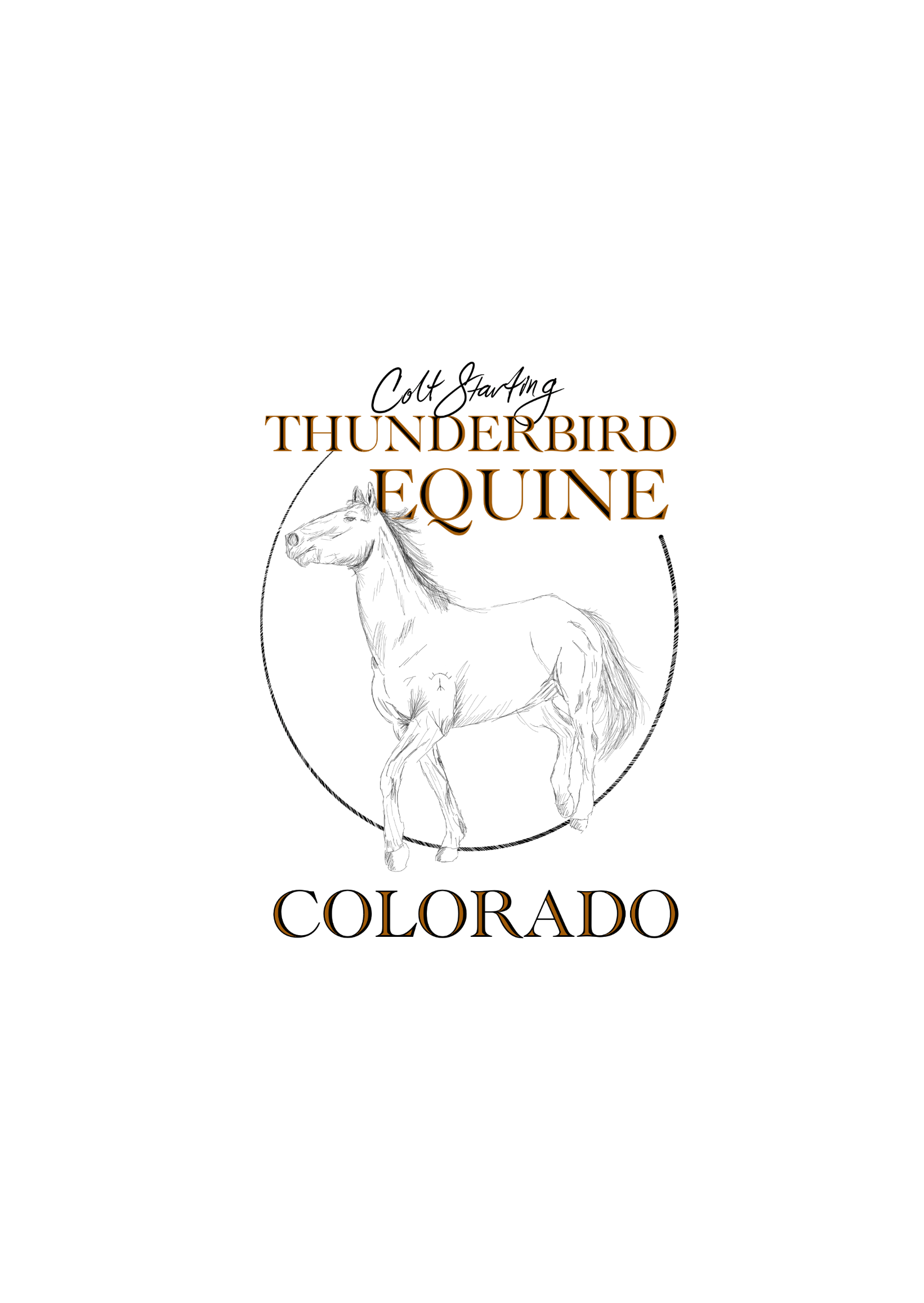Thunderbird Equine Apparel