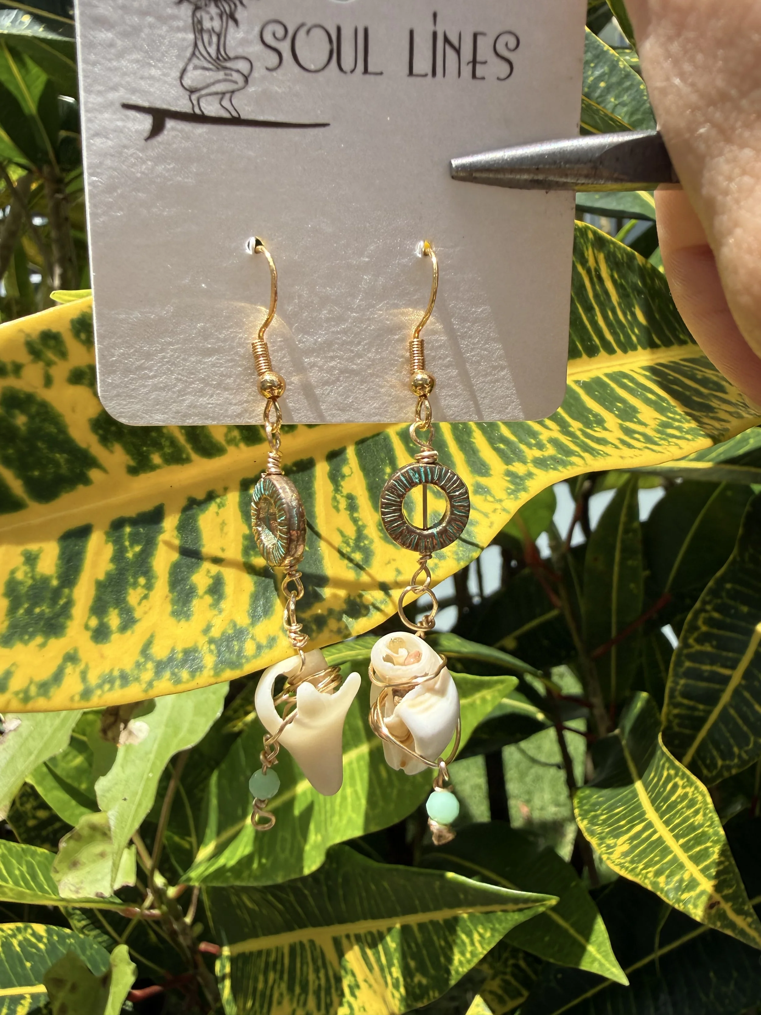 Wire Wrapped Shell Earrings