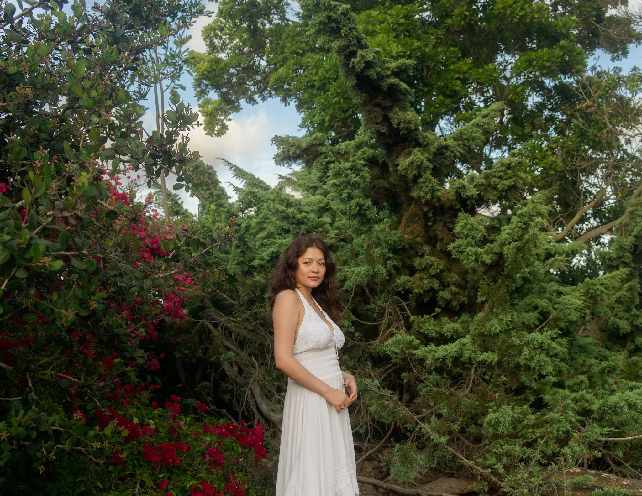 Rose, 2026.
San Diego, CA.
