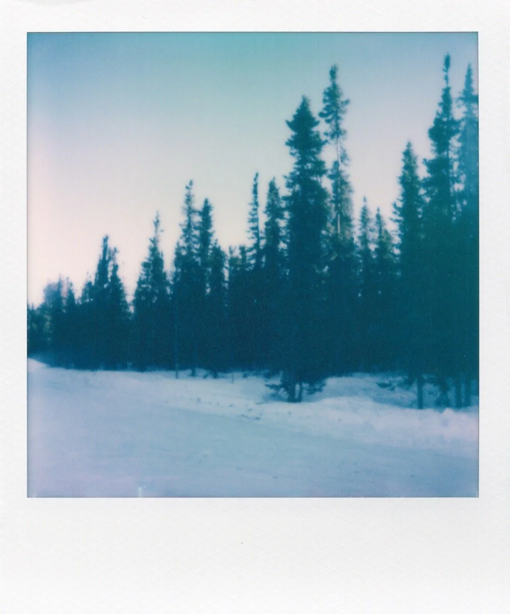 2025. Fairbanks, AK.
Pines and snowy roads.