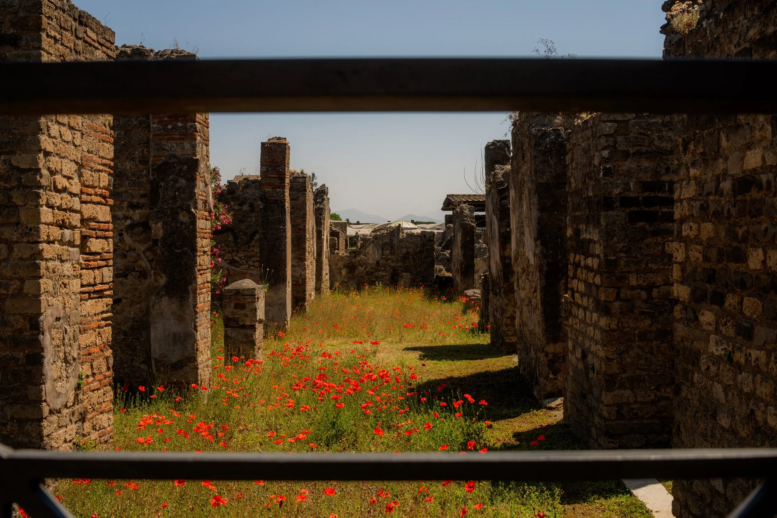 Pompeii, 2026.