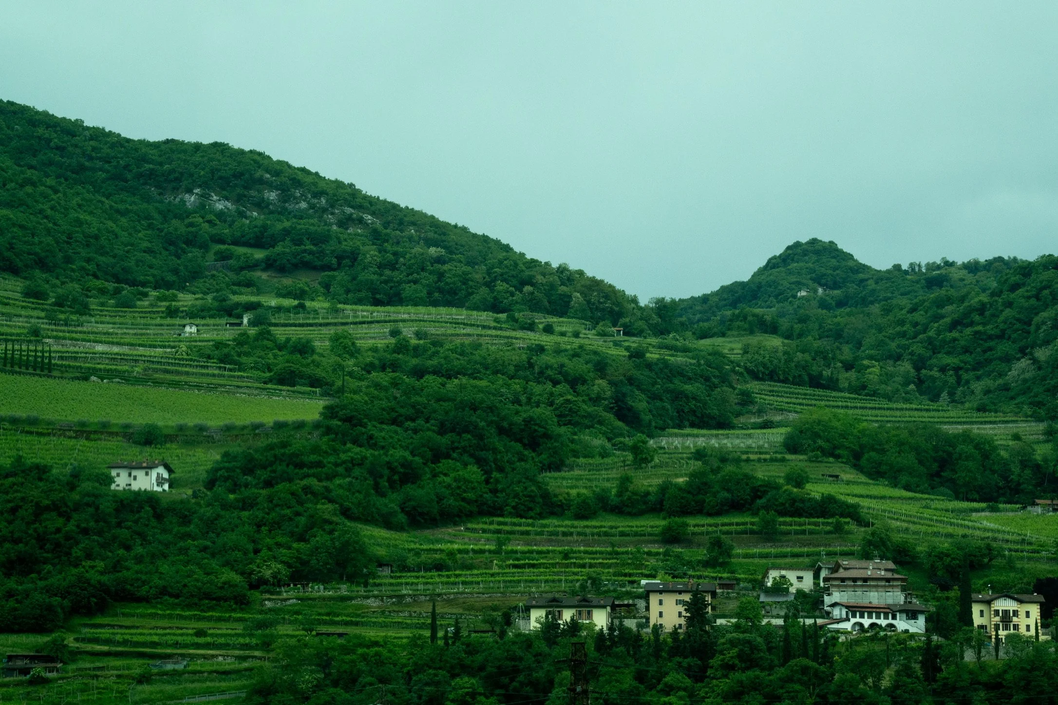 Verona Hills, 2026.