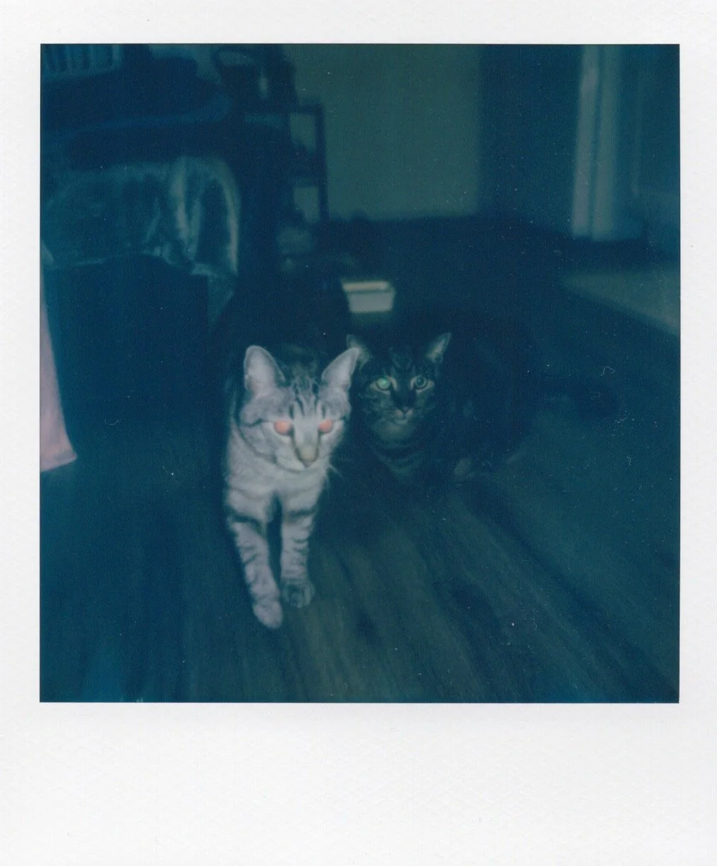 2025. San Diego, CA.
Portrait of Pico & Gallo (2/2).