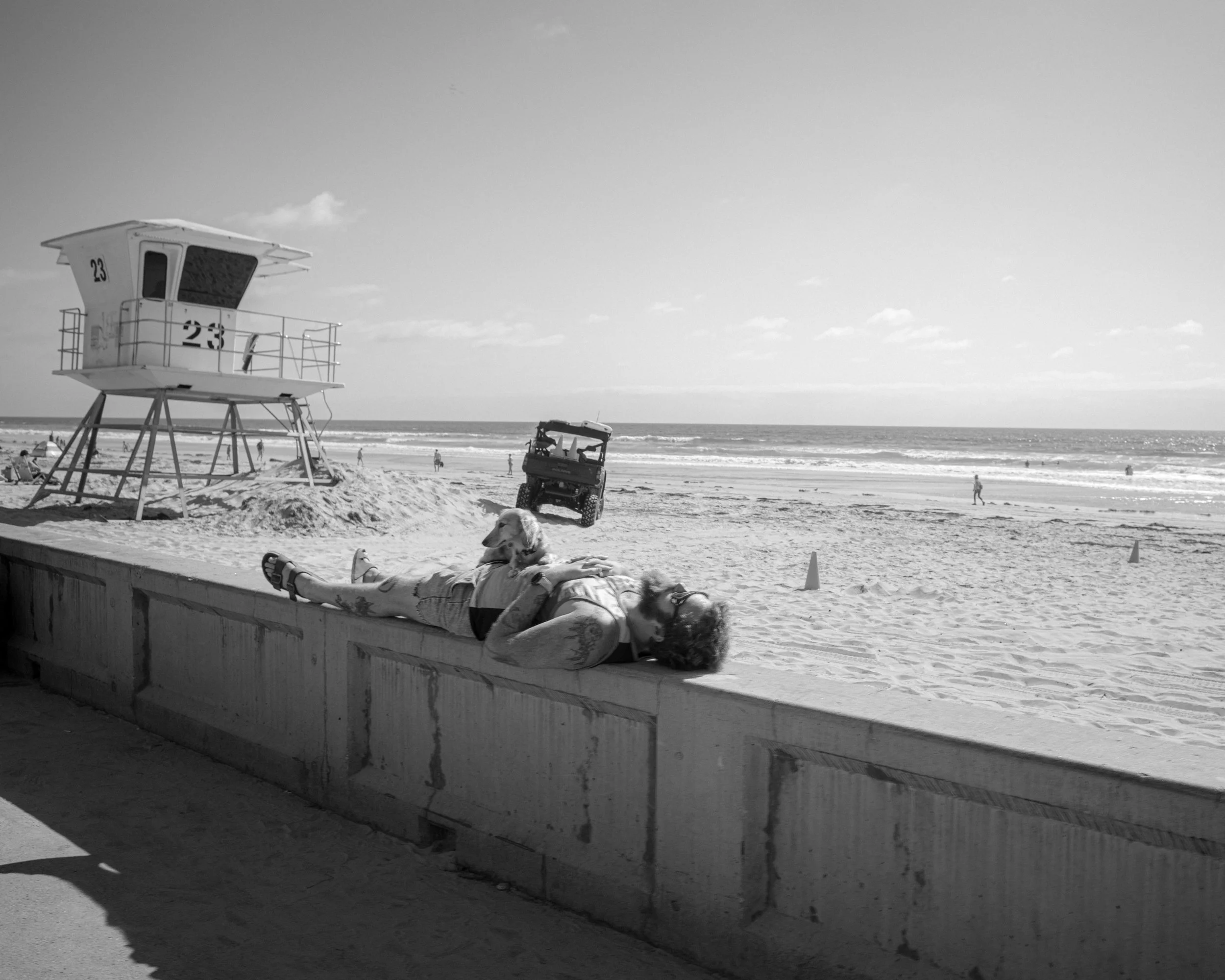 Afternoon nap, 2025.
San Diego, CA, United States.