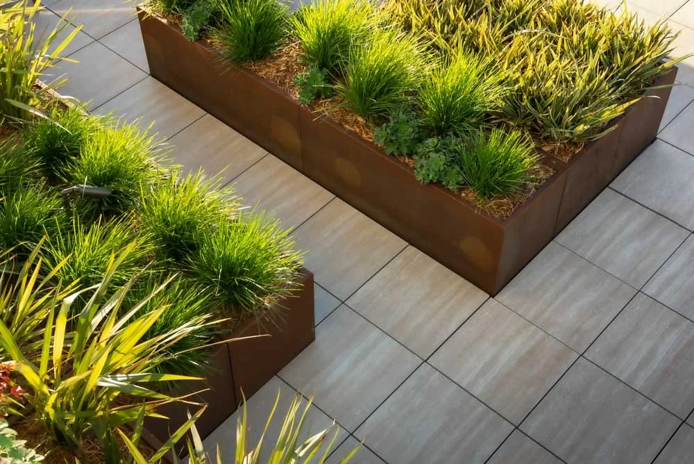 Abstract Plants