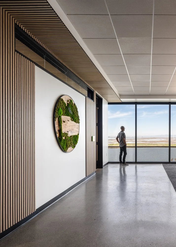 man looking out a full height window out onto view of wetlands