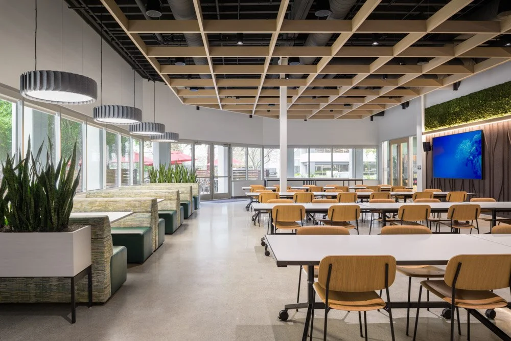 modern break / dining area in an office with wood ceiling grid
