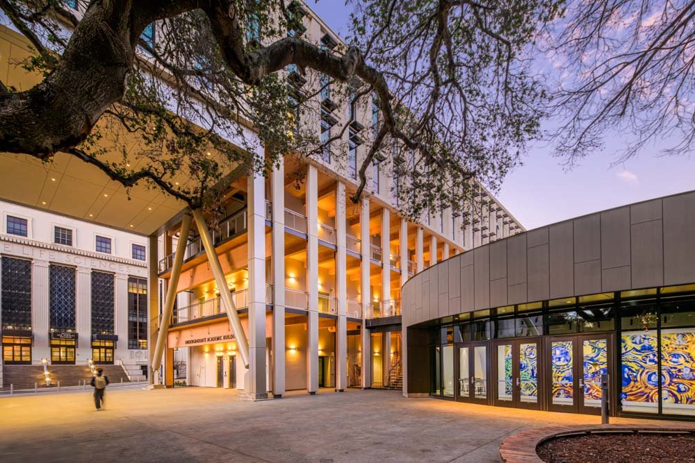 uc berkeley undergraduate academic building at dusk with oak tree in foreground