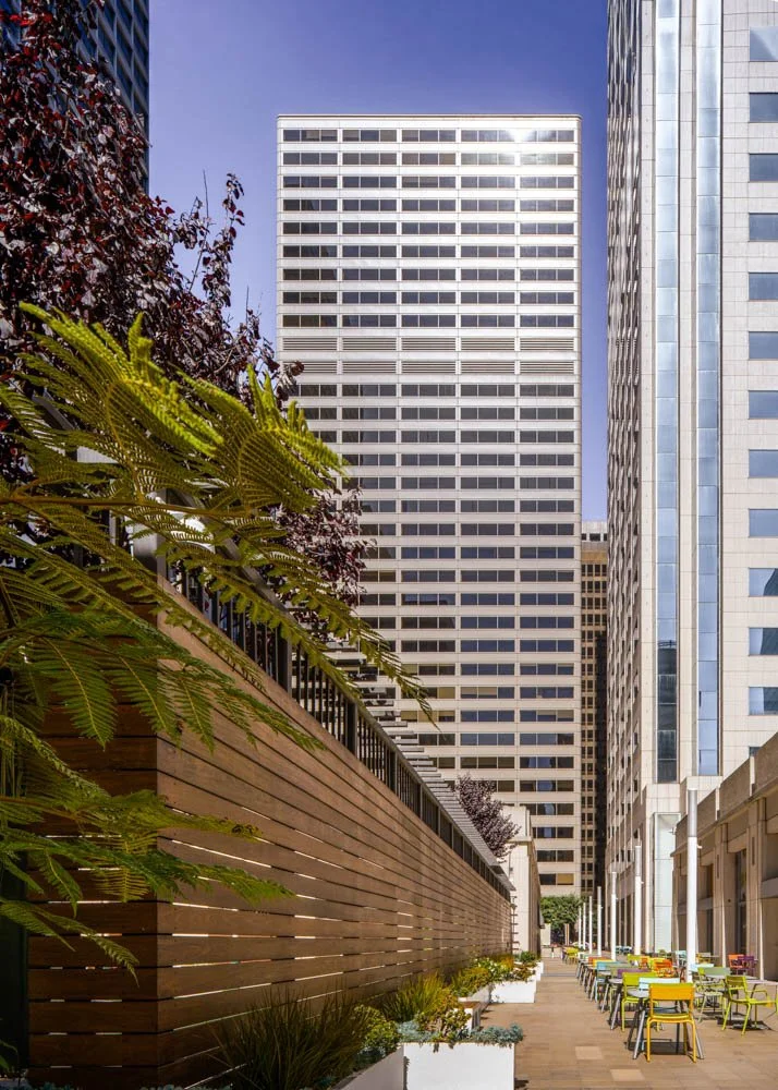 rectangular highrise office building with wood fence and plants in foreground