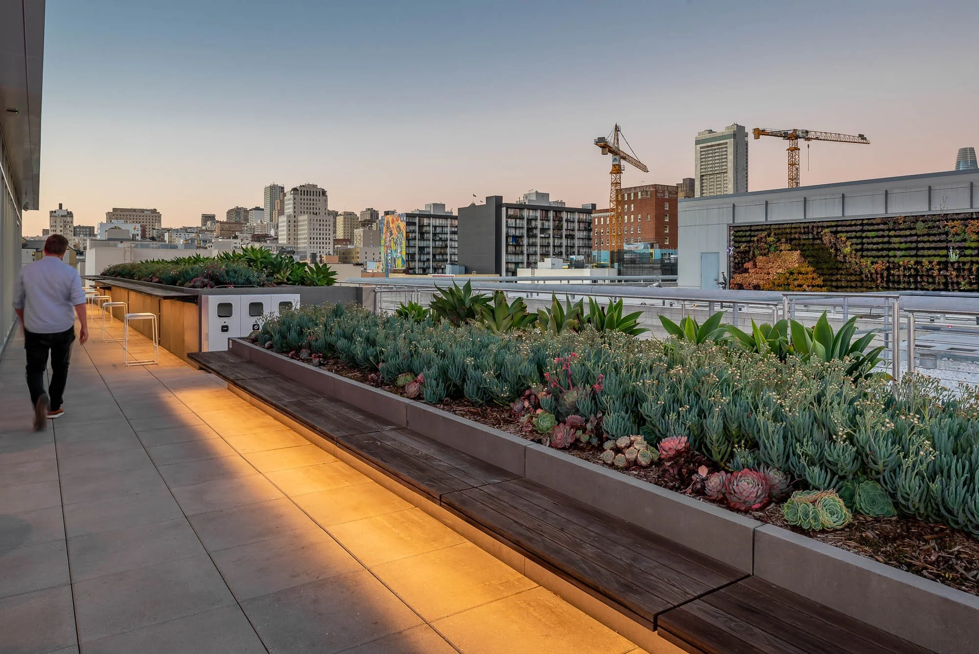 urban rooftop patio at dusk with succulent plants, wood benches, man walking