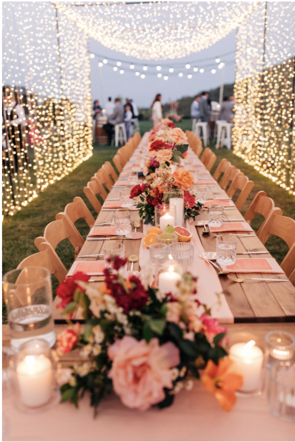 Screen Shot 2026-02-25 at 2.46.32 pm.png