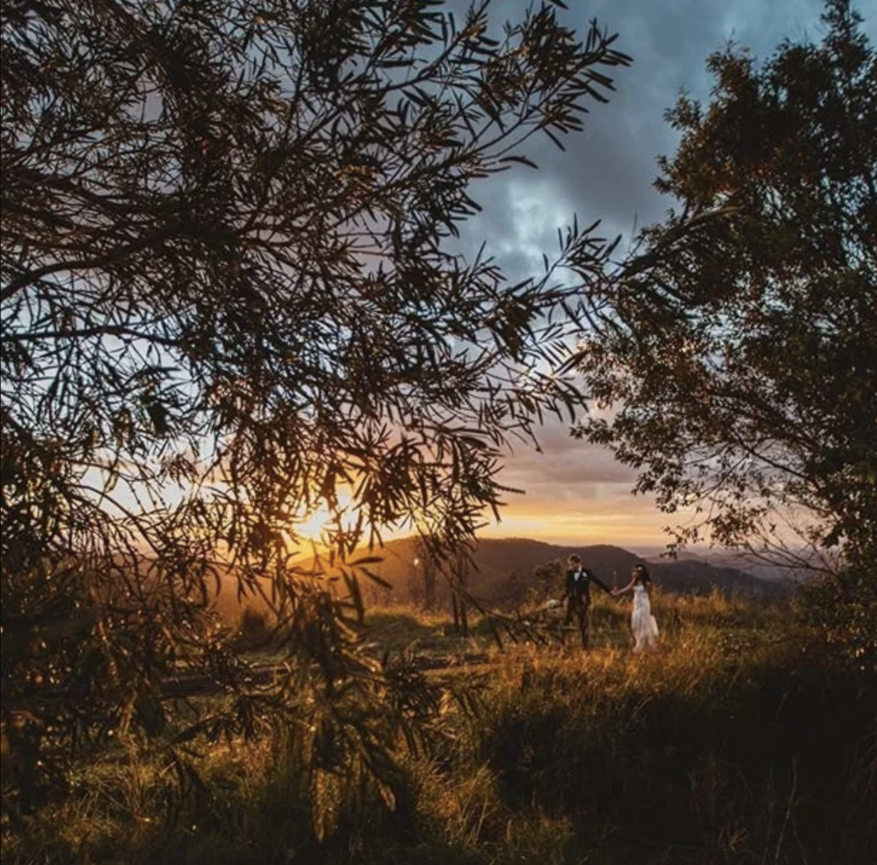 Screen Shot 2026-02-25 at 2.49.29 pm.png