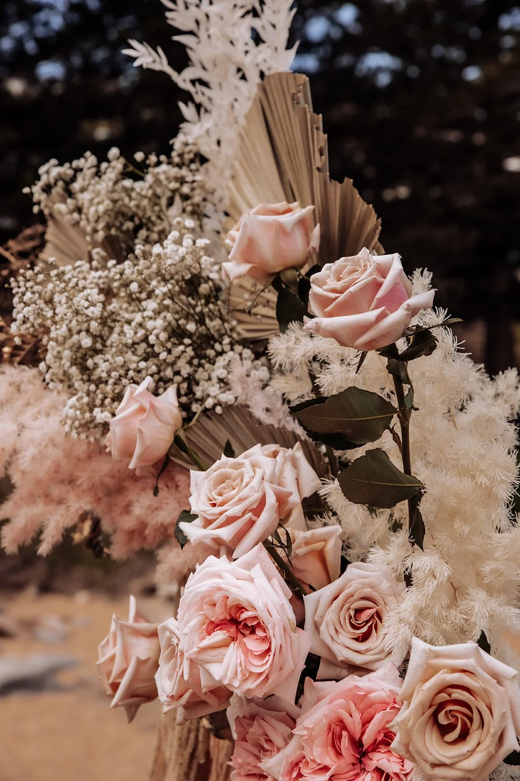 Floriane&Rowan_21stNovember2020_Highlights-29.jpg