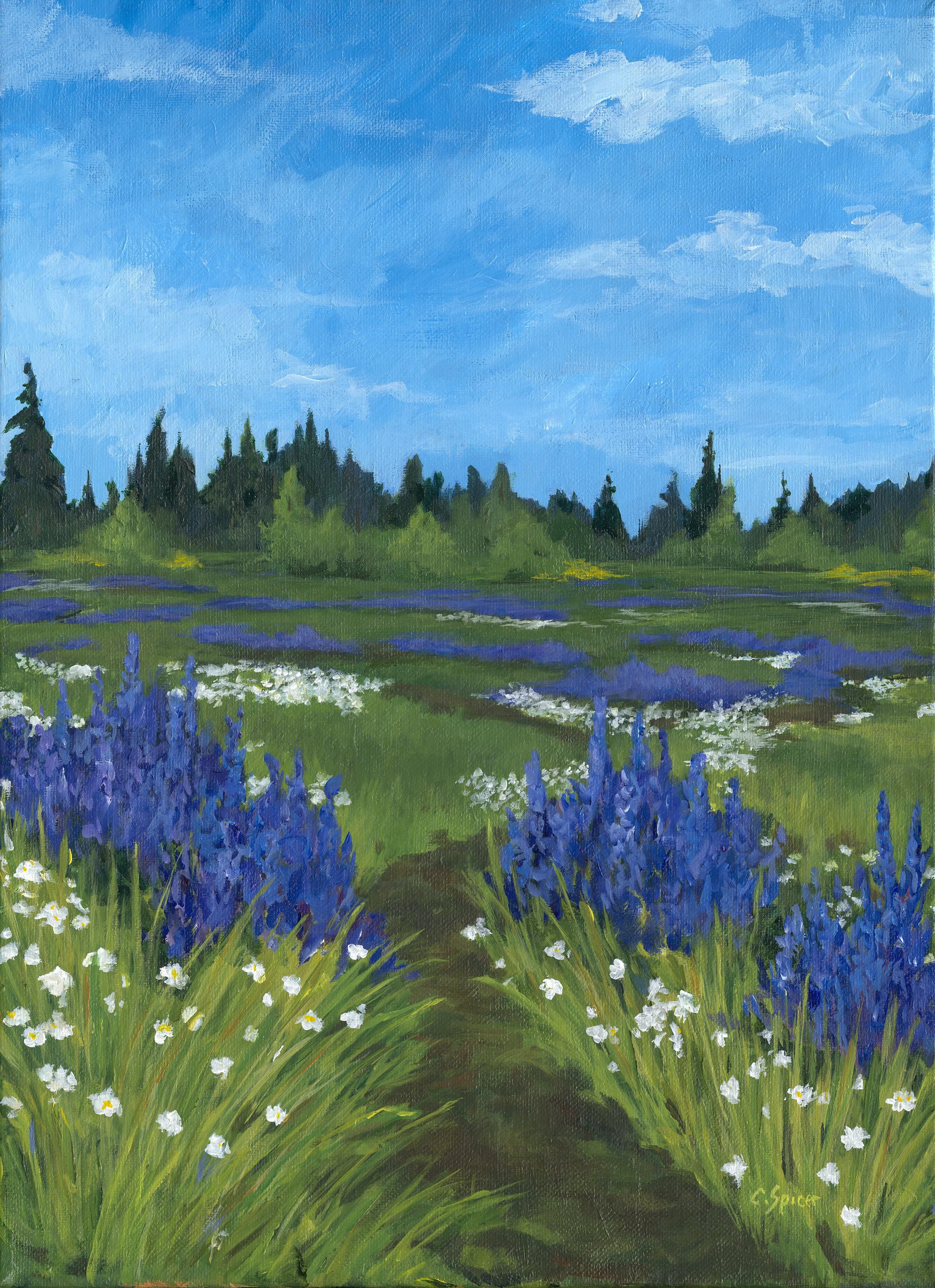 Lupines path.jpg